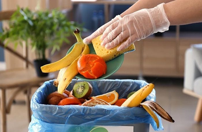 Desperdicio de alimentos