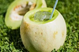 Receta Melon con Vino
