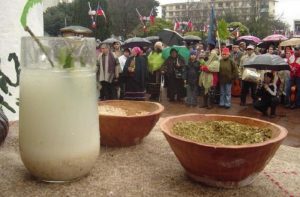 Muday de trigo mapuche