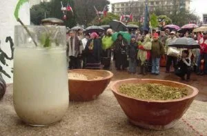 Muday de trigo mapuche