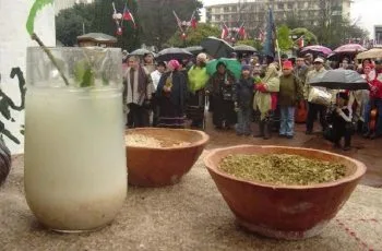 Receta del muday de trigo casero: Bebida fermentada mapuche auténtica Receta del muday de trigo casero: Bebida fermentada mapuche auténtica