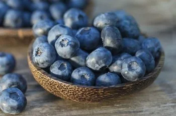 Crece la exportacuón de alimentos chilenos superando los US$ 14.500 millones Crece la exportacuón de alimentos chilenos superando los US$ 14.500 millones