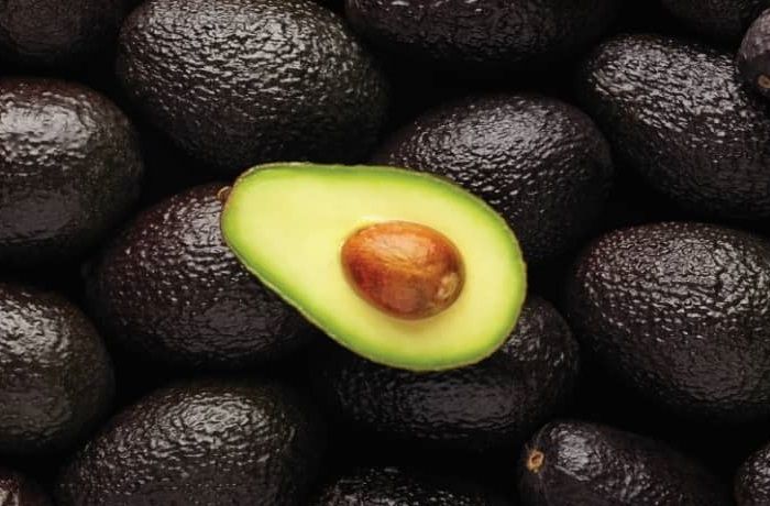 Palta Hass