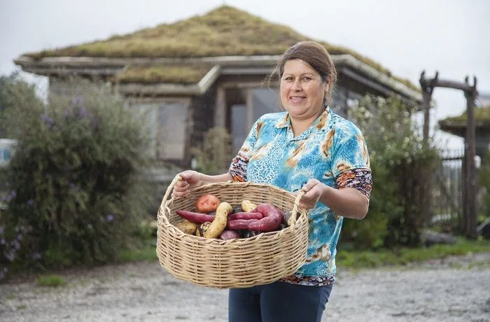 Mujer curadora de papas