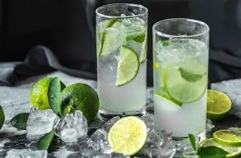 Receta de cóctel pistón chileno: Combinado moderno y popular