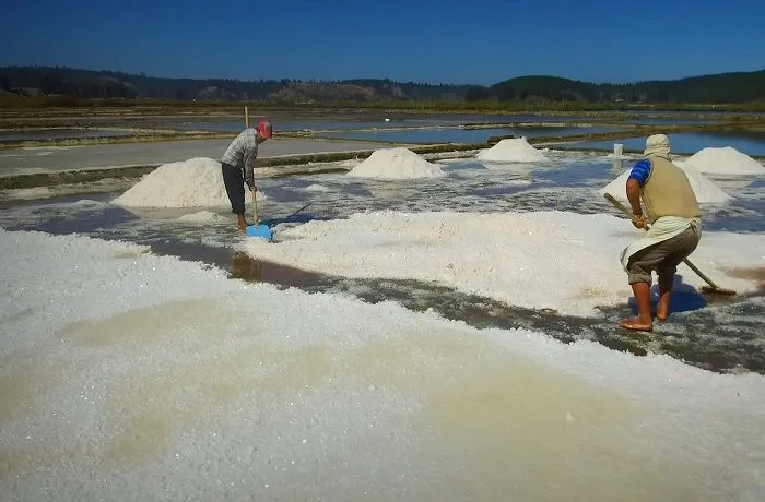 Salinas de Cáhuil Salinas de Cahuil