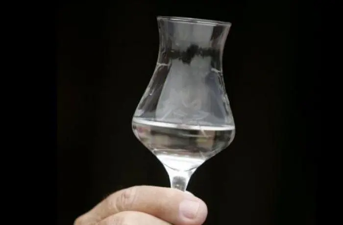 Pisco chileno