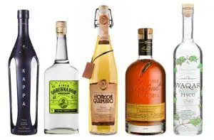 Piscos chilenos
