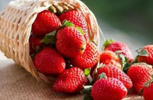 Frutillas chilenas