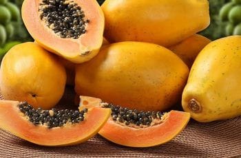 Investigadora chilena destaca el potencial de la papaya para preveir enfermedades Investigadora chilena destaca el potencial de la papaya para preveir enfermedades