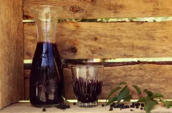 Receta de chicha de maqui: Una bebida ancestral llena de antioxidantes Receta de chicha de maqui: Una bebida ancestral llena de antioxidantes