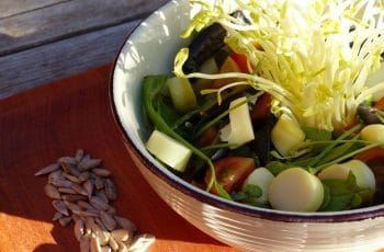 Receta de ensalada de brotes de coligüe: Bambú chileno Receta de ensalada de brotes de coligüe: Bambú chileno