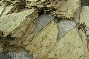 Receta de charquicán de pescá (pescada) seca o merluza chilena deshidratada
