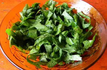 Receta de ensalada de romaza chilena: Deliciosa, tradicional y silvestre Receta de ensalada de romaza chilena: Deliciosa, tradicional y silvestre