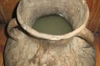 Receta de chicha o muday de arvejas: Bebida casera tradicional mapuche Receta de chicha o muday de arvejas: Bebida casera tradicional mapuche