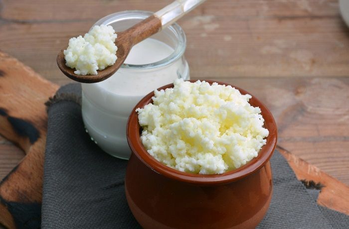 Receta de kéfir o yogurt de pajaritos Receta de kéfir o yogurt de pajaritos