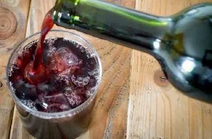 Recetas de bebidas típicas de Chile 79 Receta de jote chileno