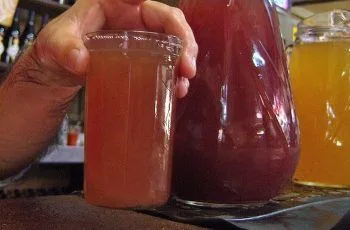 Receta de chichón chileno: Cóctel tradicional de chicha de uva y pipeño Receta de chichón chileno: Cóctel tradicional de chicha de uva y pipeño