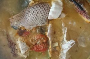 Receta de caldillo de pejeperro