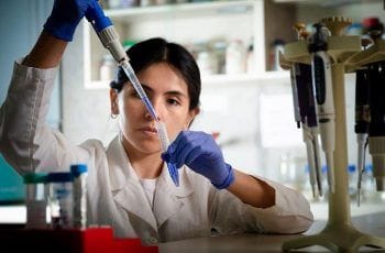 Investigadora Mapuche demuestra beneficio de calafate y otros berries para prevenir enfermedades Investigadora Mapuche demuestra beneficio de calafate y otros berries para prevenir enfermedades
