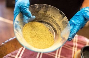 Emprendedoras se unen para desarrollar y comercializar harina de cochayuyo Emprendedoras se unen para desarrollar y comercializar harina de cochayuyo