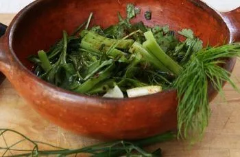 Receta de pebre de chalota o cebollatún: Tradicional acompañamiento mapuche Receta de pebre de chalota o cebollatún: Tradicional acompañamiento mapuche