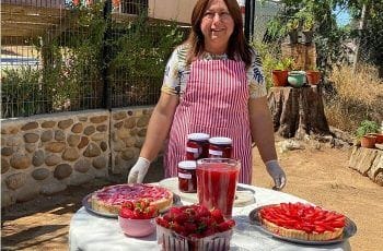 Ruta de la frutilla sustentable permite a los turistas hasta cosechar la fruta que compran Ruta de la frutilla sustentable permite a los turistas hasta cosechar la fruta que compran