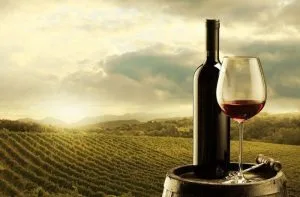 Vinos Chilenos