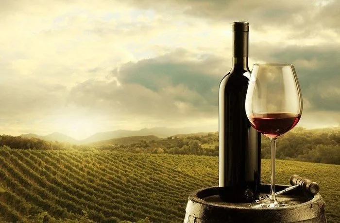Vinos Chilenos Vinos Chilenos