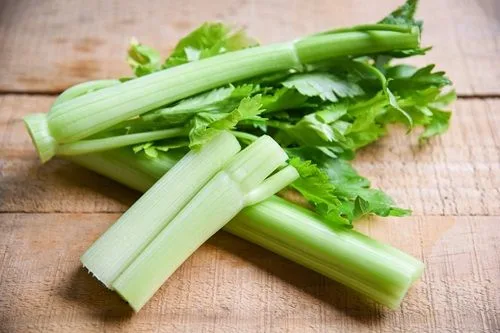 Apio fresco Ramitas de apio verde y crujiente, ingrediente clave para el fondo aromático de la cazuela.