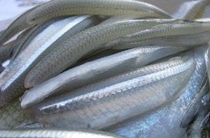 Filetes de pejerrey Filetes de pejerrey limpios, sin espinas, listos para ser marinados y rebozados.