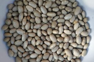 Porotos burros secos, legumbre tradicional chilena, antes o después del remojo.