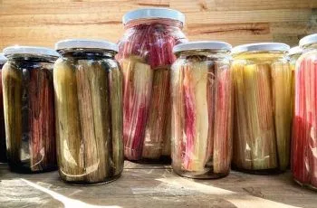 Receta de encurtidos o conservas de nalca: Deliciosos y saludables para disfrutar todo el año