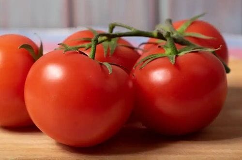 Tomates redondos Tomates redondos