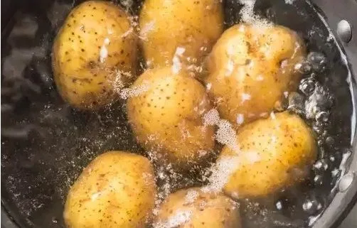 Hervir las papas sin pelarlas Papas chilotas de diversas formas y colores listas para ser lavadas y cocinadas.