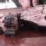 Receta de huachalomo chileno a la parrilla: Un clásico «beef» criollo para 4 personas