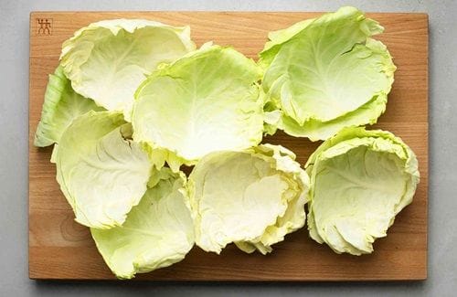 Hojas de repollo