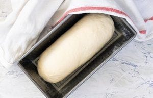 Masa de pan de molde Masa de pan de molde