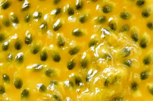 Pulpa fresca de maracuyá con sus semillas y jugo vibrante en un recipiente, lista para cocinar.