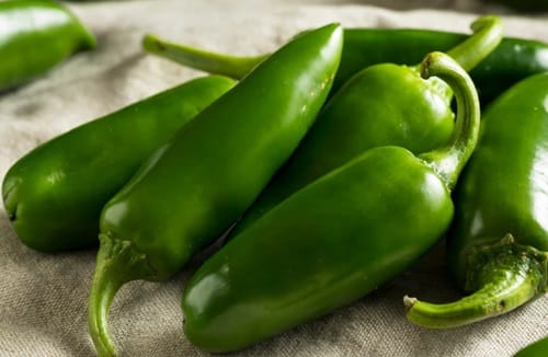 Jalapeños Jalapeños