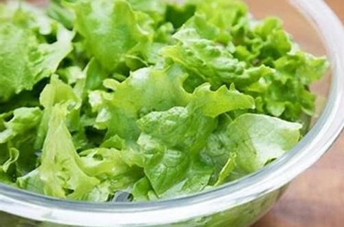 Hojas de lechuga