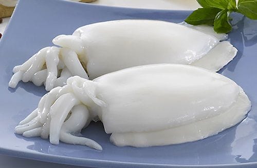 Jibia (sepia) fresca y limpia, lista para ser cocida y ablandada.