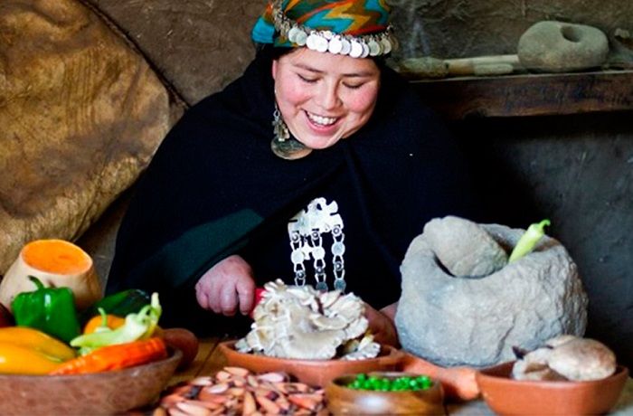 Comidas y Recetas Mapuches