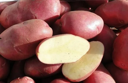 Papas Puyehue Papas Puyehue o similar, peladas y lavadas, preparadas para cortar en hilos finos
