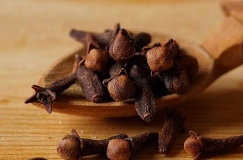Clavo de olor
