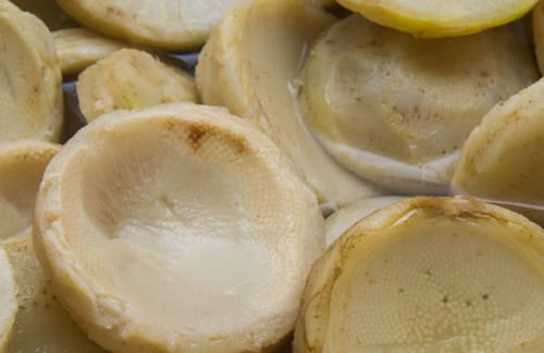 Fondos de alcachofa