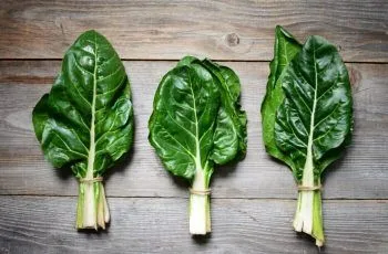 Recetas chilenas con acelga fáciles y deliciosas