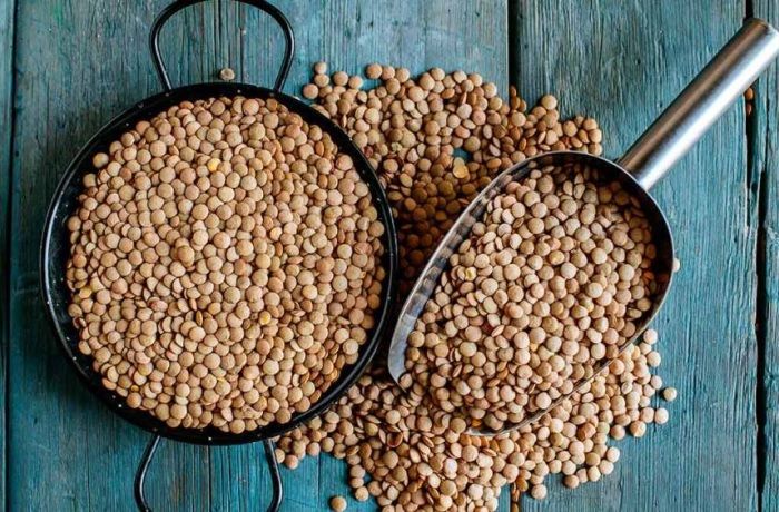 Recetas con lentejas fáciles y caseras - Comidas Chilenas