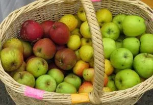 Recetas con manzanas naturales fáciles - Comidas Chilenas