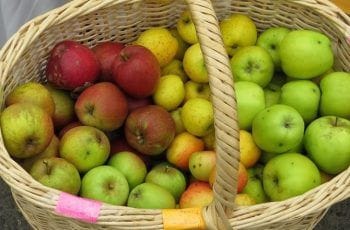 Recetas con manzanas chilenas fáciles, naturales y saludables Recetas con manzanas chilenas fáciles, naturales y saludables